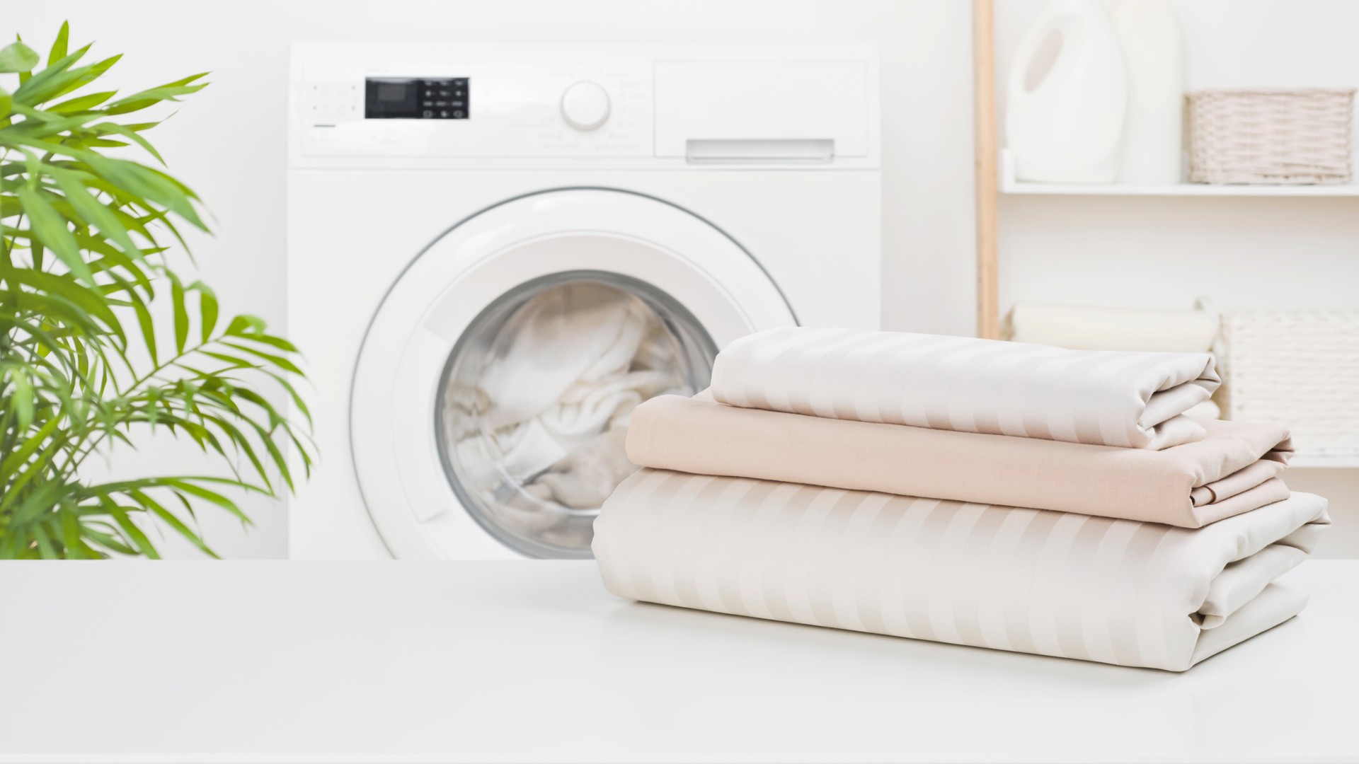 Will the Washing Machine Actually Kill Lice on Bedding?