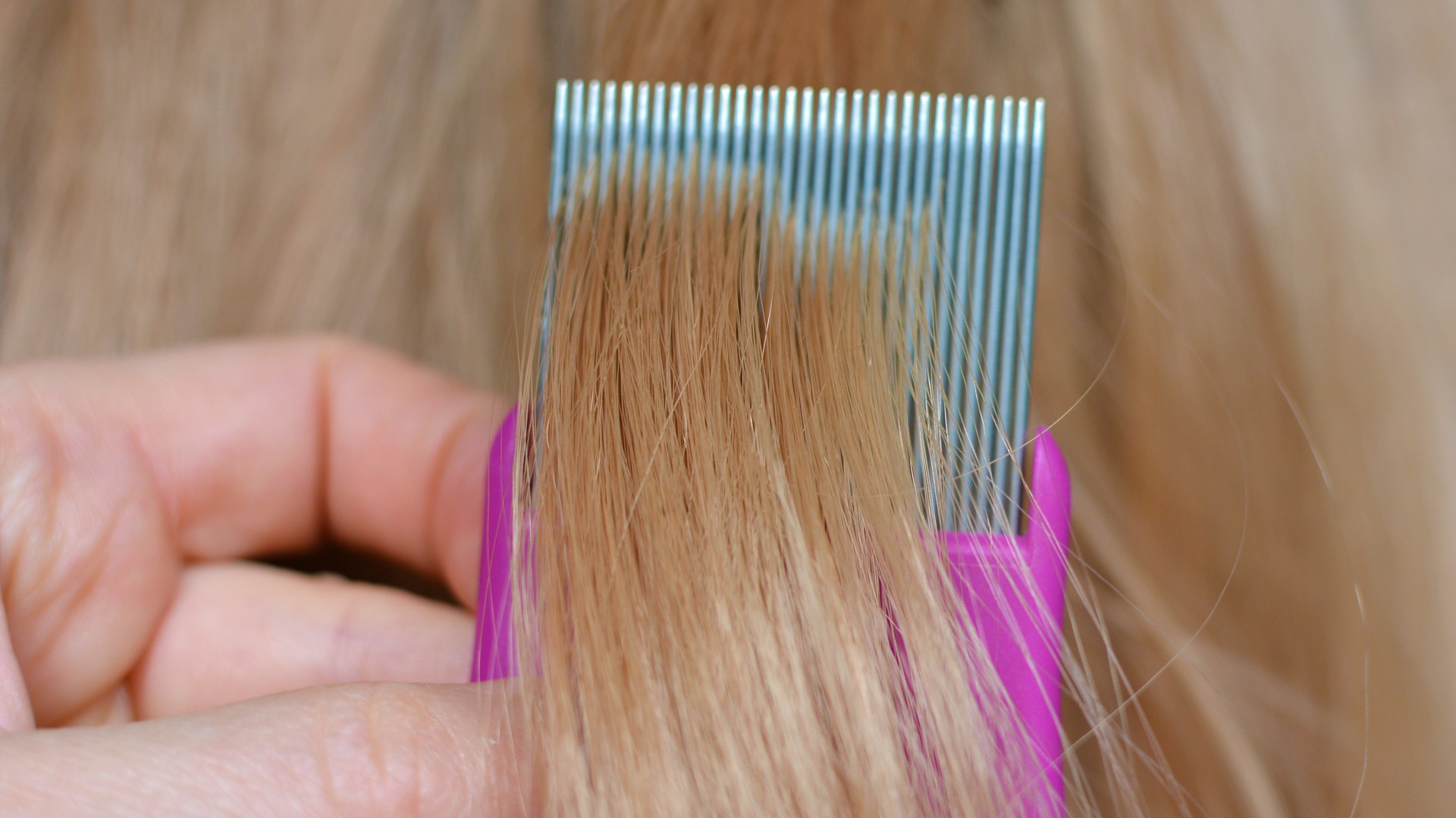 Close-up of a metal fine-toothed nit comb being pulled slowly through a child's freshly washed, conditioner-coated wet hair, the after-treatment comb-out step a Montgomery County parent walks through to lift dead lice and glued nits out of the hair shaft.