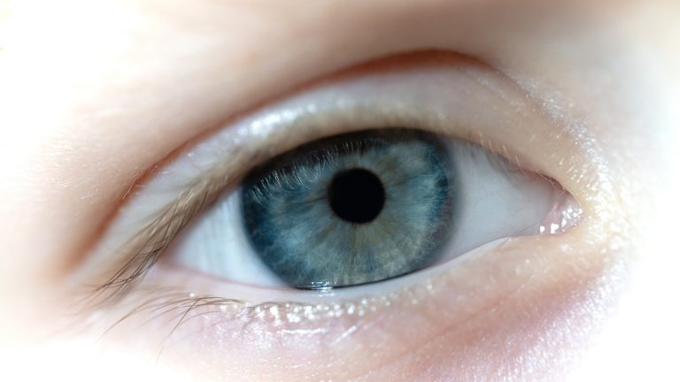 Are Those Specks on Your Eyelashes Actually Nits?