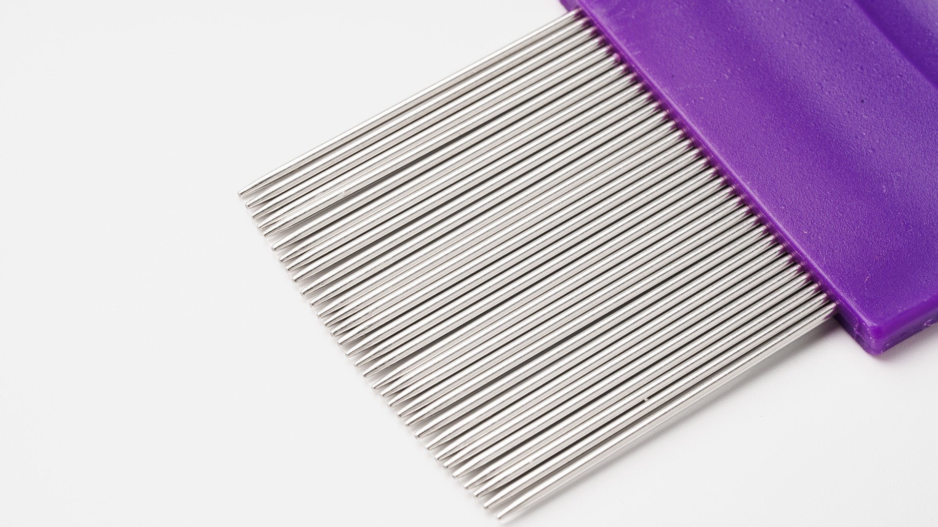 Professional nit comb and non-pesticide lice treatment supplies on a white surface