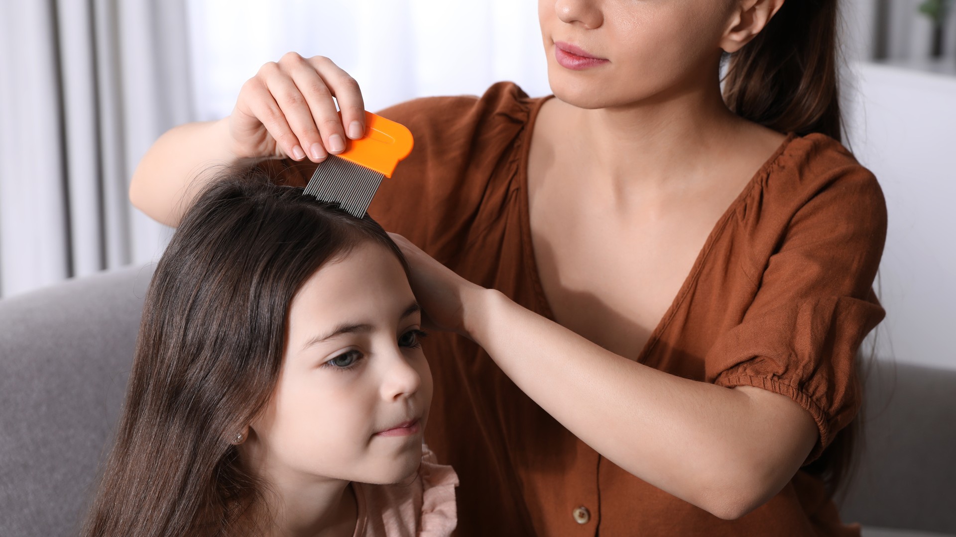 What Does a Professional Lice Removal Visit Cost a Family?