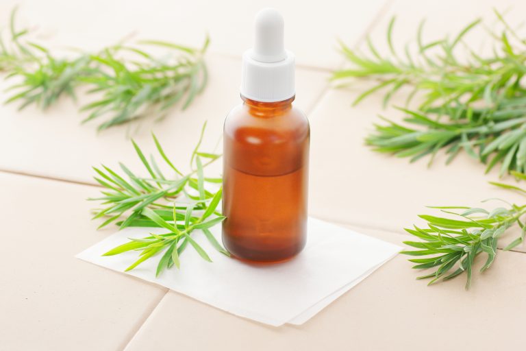 Tea Tree Oil Works Better Before Lice Than After
